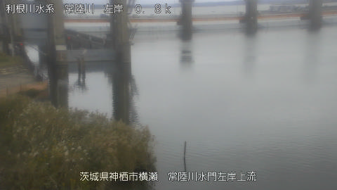 hitasa2026102315_image
