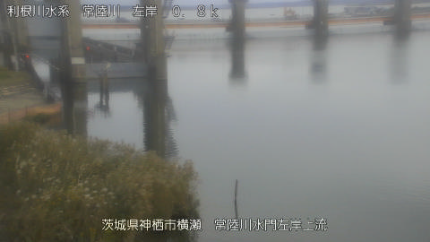 hitasa2026102316_image