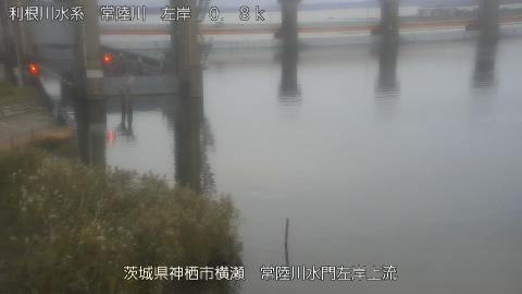 hitasa2026102317_image