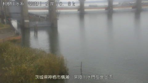 hitasa2026102413_image