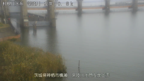 hitasa2026102414_image
