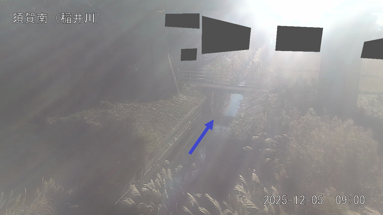 inai2025120509_image