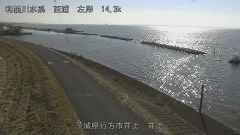 inoue2025112112_image