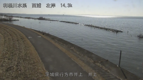 inoue2026011012_image