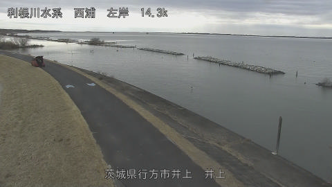 inoue2026012012_image