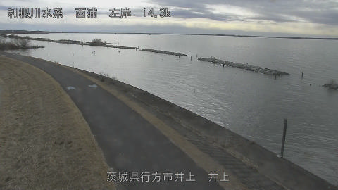 inoue2026012112_image