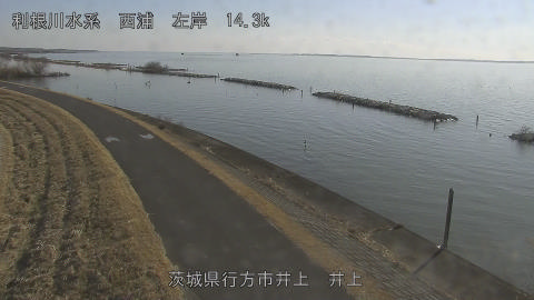 inoue2026020114_image