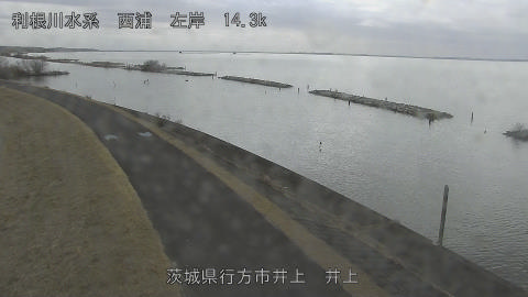 inoue2026022012_image