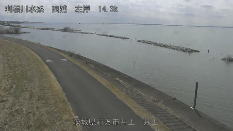 inoue2026030912_image