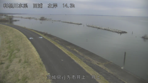 inoue2026032007_image