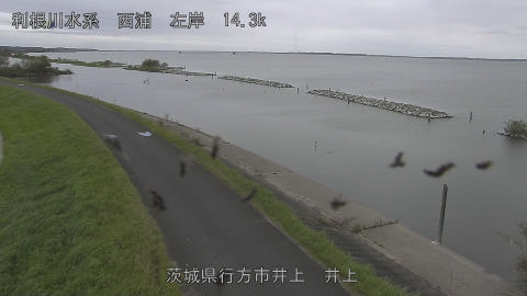 inoue2026100612_image