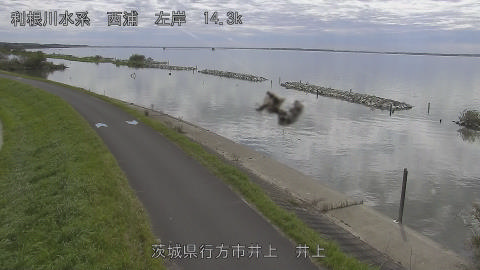 inoue2026100712_image