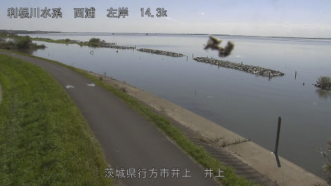 inoue2026100812_image