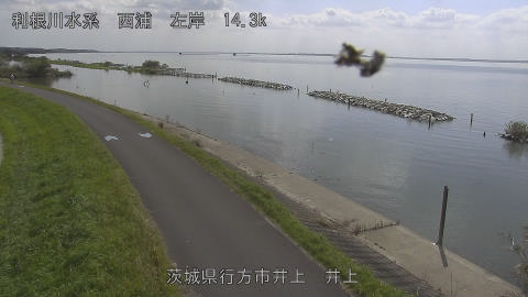 inoue2026100912_image