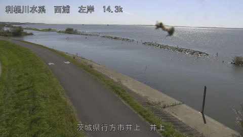 inoue2026101112_image