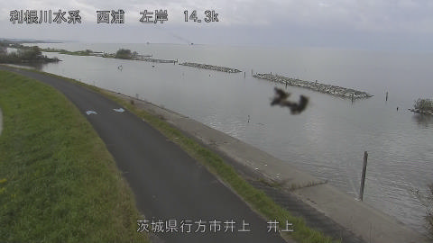 inoue2026102012_image