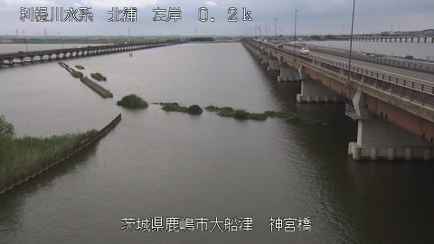 jingu2025061412_image