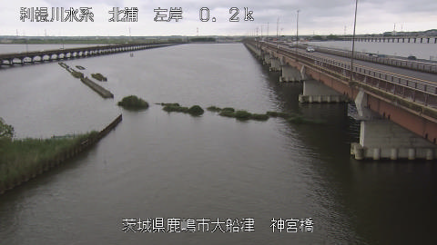 jingu2025061512_image