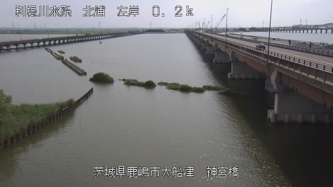 jingu2025063014_image