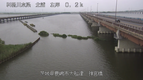 jingu2025070108_image