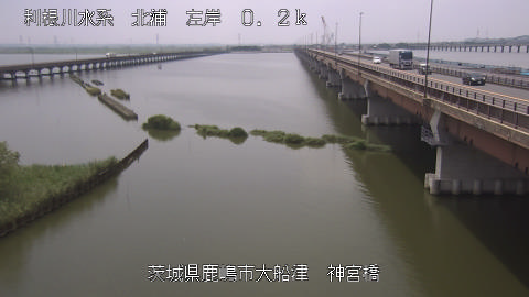 jingu2025070112_image