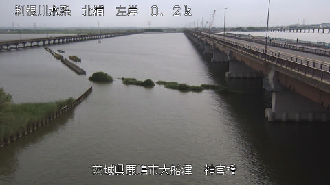 jingu2025070115_image