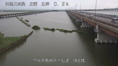jingu2025070116_image