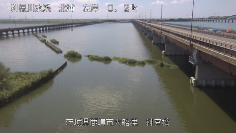 jingu2025072612_image