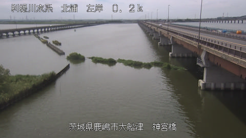 jingu2025072712_image