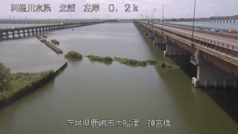 jingu2025072812_image
