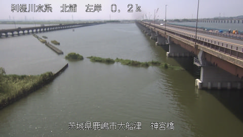 jingu2025080412_image