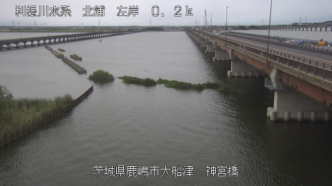 jingu2025080712_image