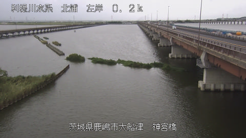 jingu2025081112_image