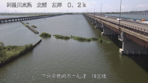 jingu2025081712_image