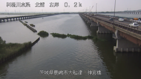 jingu2025081912_image