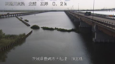 jingu2025082216_image