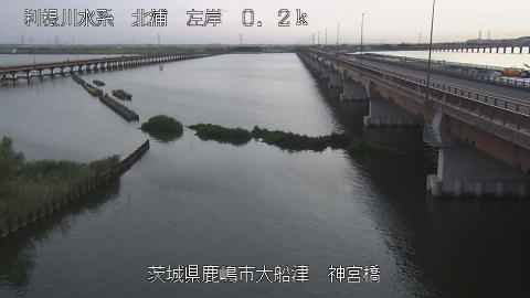 jingu2025082218_image