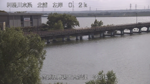 jingu2025101814_image