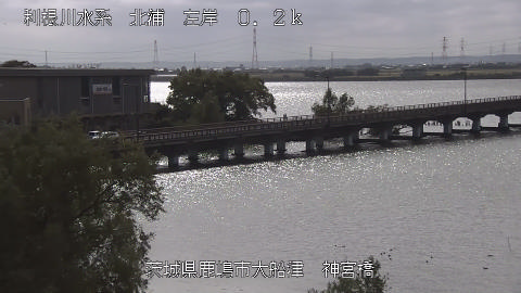 jingu2025110612_image