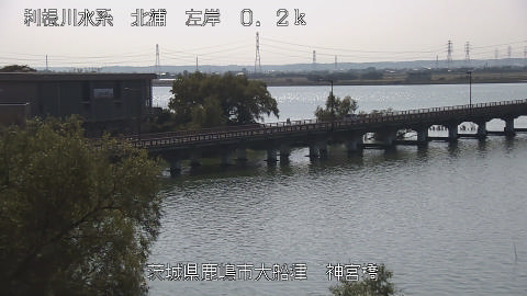 jingu2025110712_image