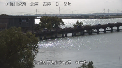 jingu2025110812_image