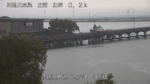 jingu2025110912_image