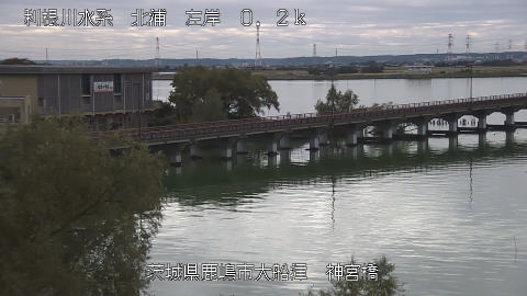 jingu2025111112_image