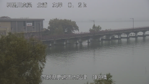 jingu2025111312_image