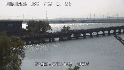 jingu2025111412_image