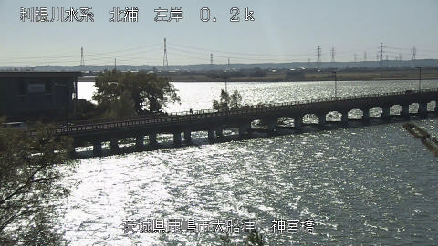 jingu2025111712_image