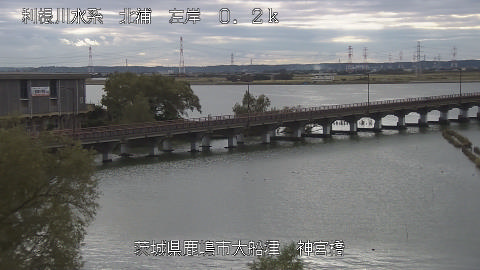 jingu2025111812_image