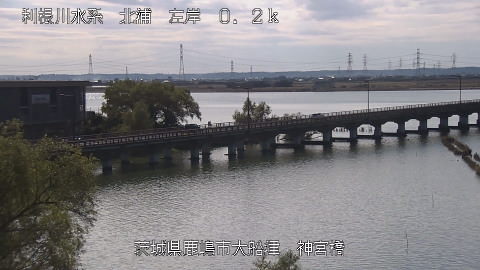 jingu2025111912_image