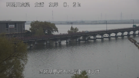 jingu2025112512_image