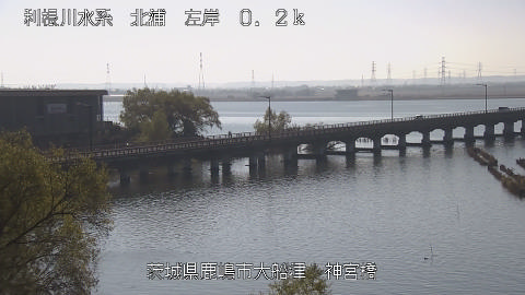 jingu2025112812_image